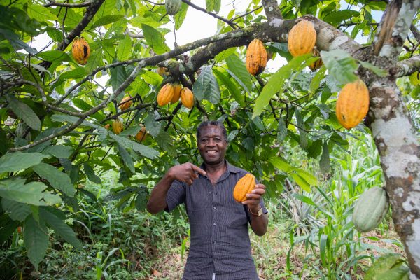 satisfied-farmer-on-his-cocoa-plantation-min